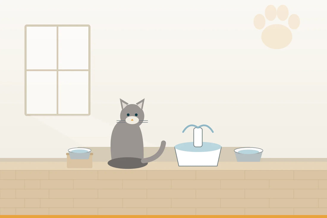 Alte Katze trinkt wenig: wie du sie zum Trinken bringst und wann es ernst ist