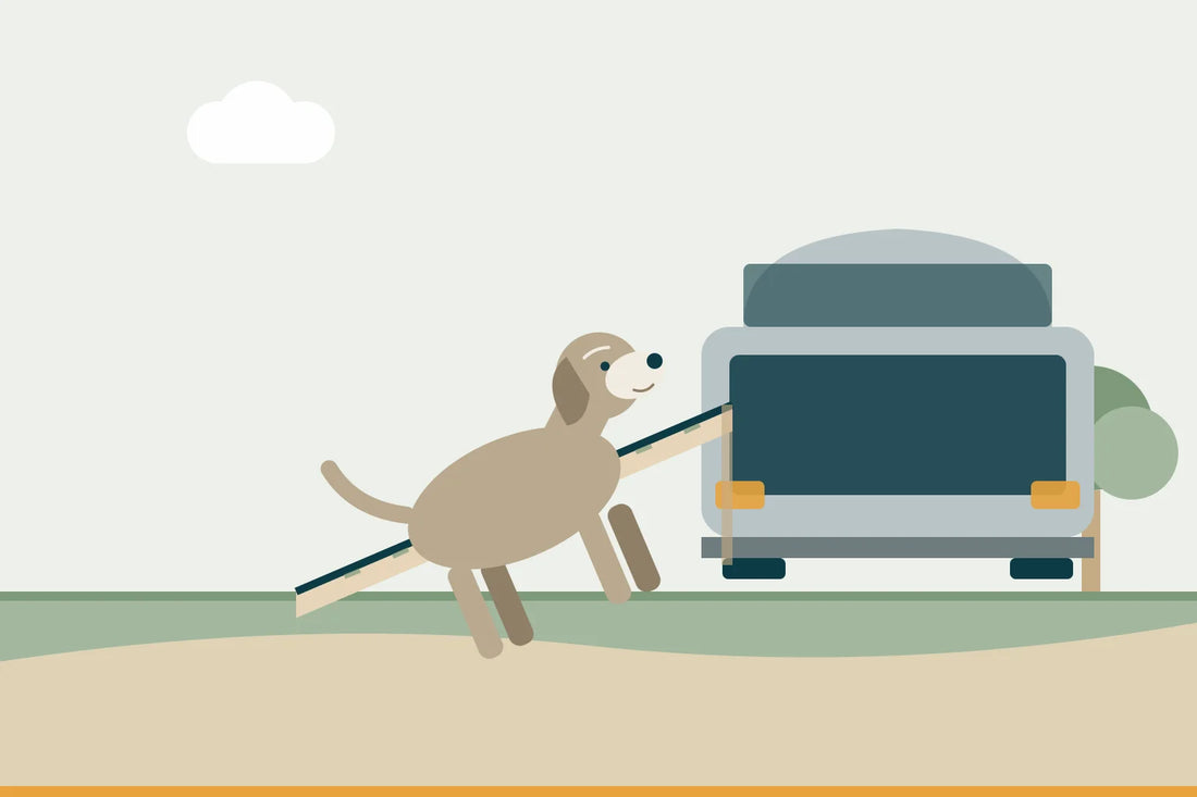 Autoeinstieg für den Hund erleichtern