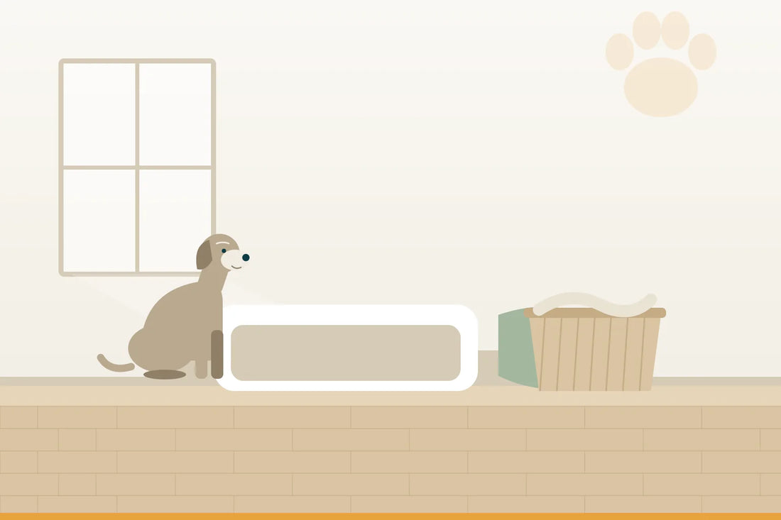 Orthopädisches Hundebett: Bezug, Waschen, Lebensdauer des Kerns