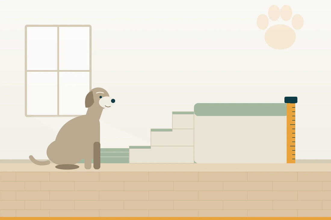 Hundetreppe: Höhe, Stufenzahl und Stufentiefe richtig wählen
