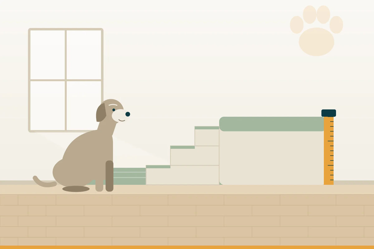 Hundetreppe: Höhe, Stufenzahl und Stufentiefe richtig wählen