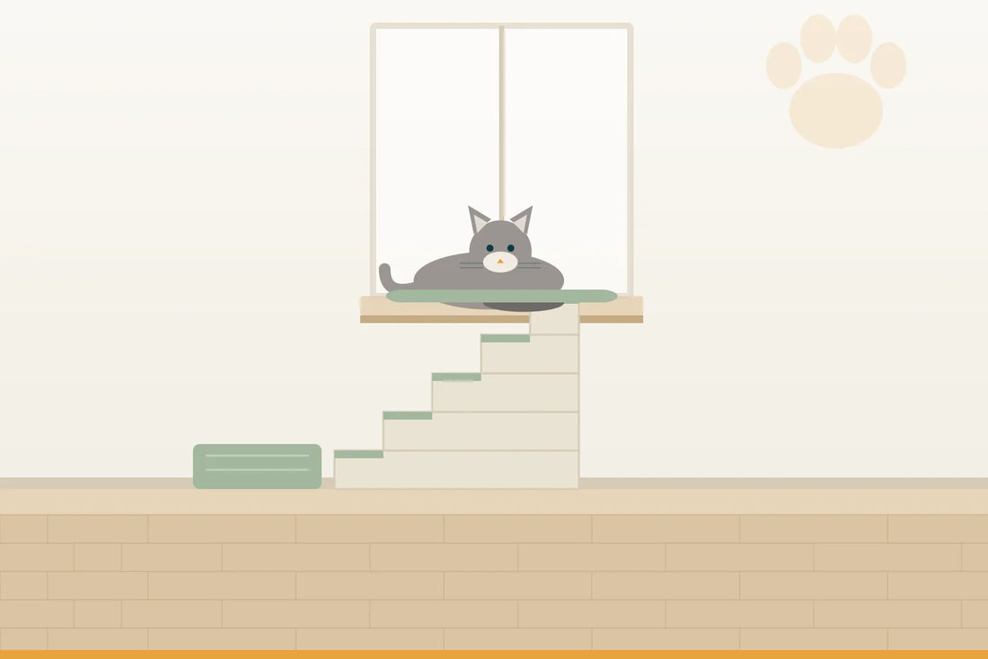 Katzentreppe zur Fensterbank: so kommt die alte Katze wieder an ihren Lieblingsplatz