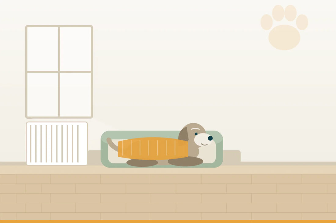 Der richtige Liegeplatz für einen alten Hund