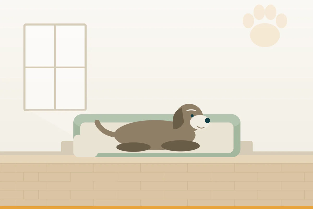 Orthopädisches Hundebett für große Hunde
