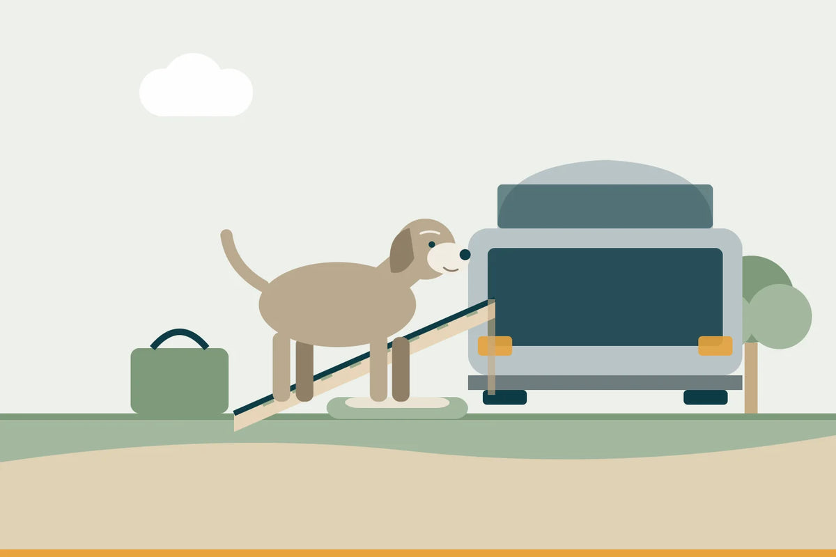Reisen mit altem Hund: Auto, Pausen, Unterkunft und was mit muss