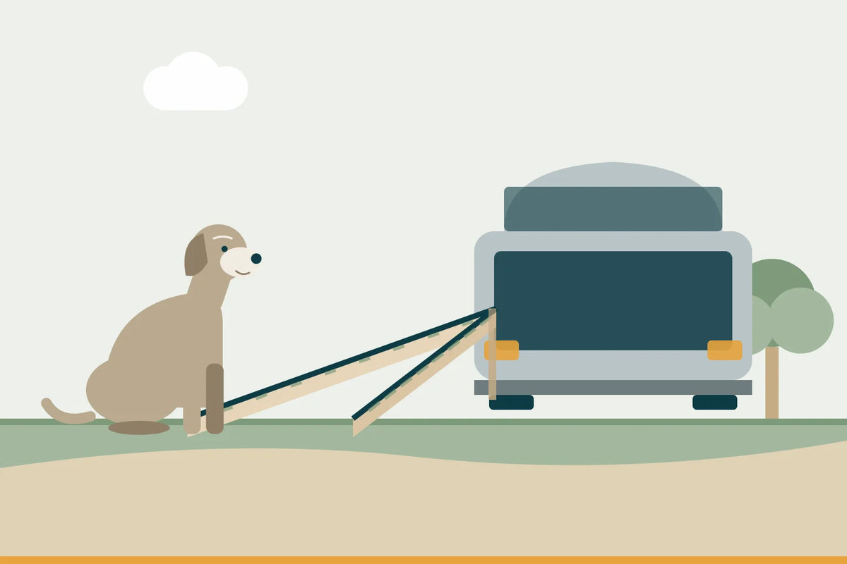 Welche Hunderampe passt zu meinem Hund?