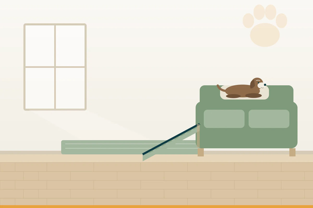 Hunderampen für Bett & Sofa