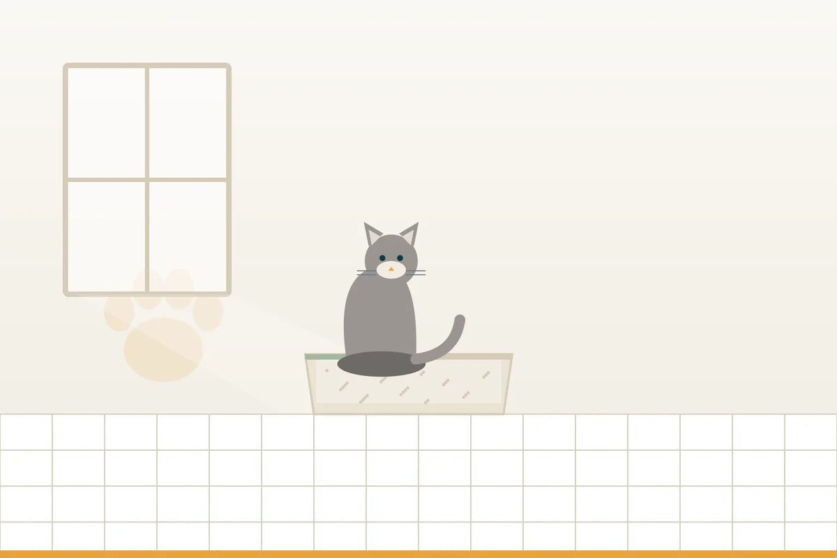 Hygiene & Inkontinenz für Katzen
