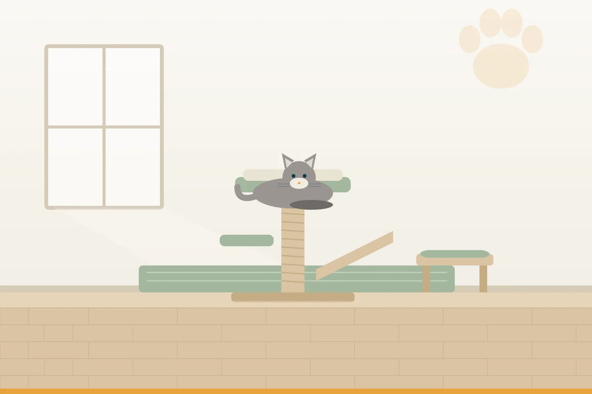 Klettern & Ruhen für Katzen