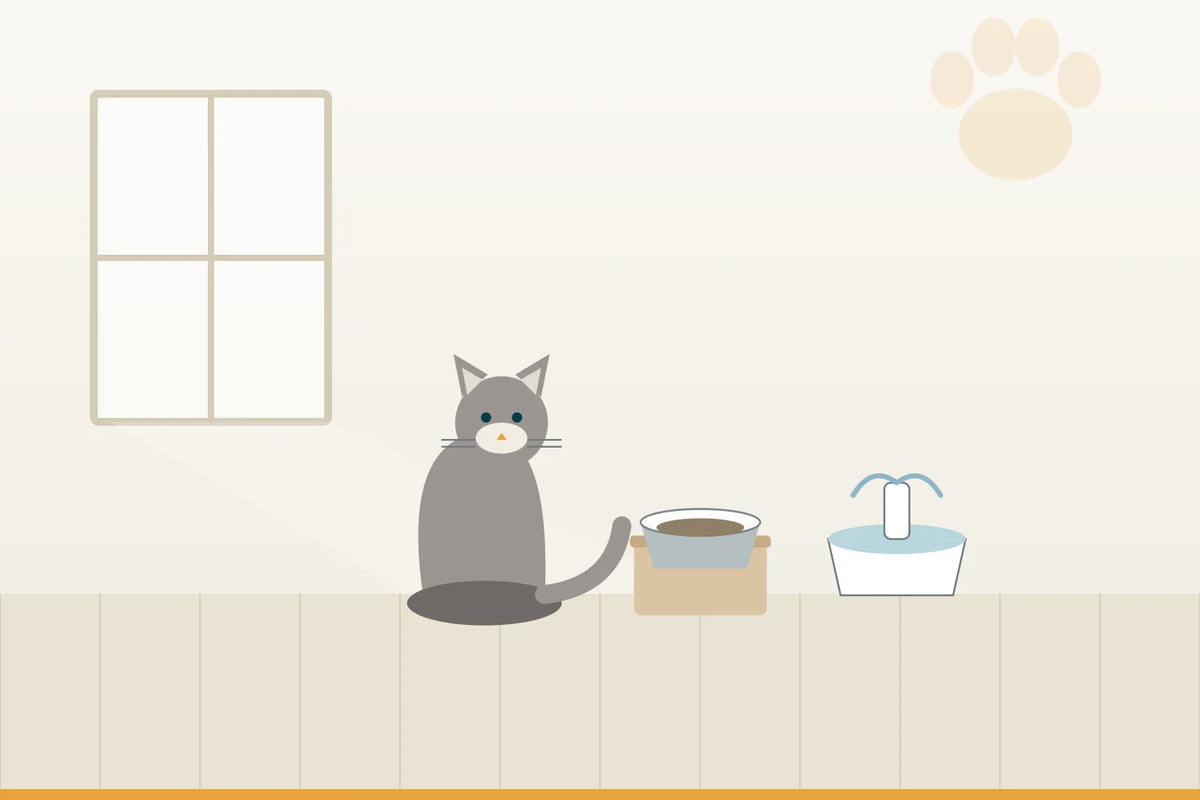 Erhöhte Näpfe & Trinkbrunnen für Katzen