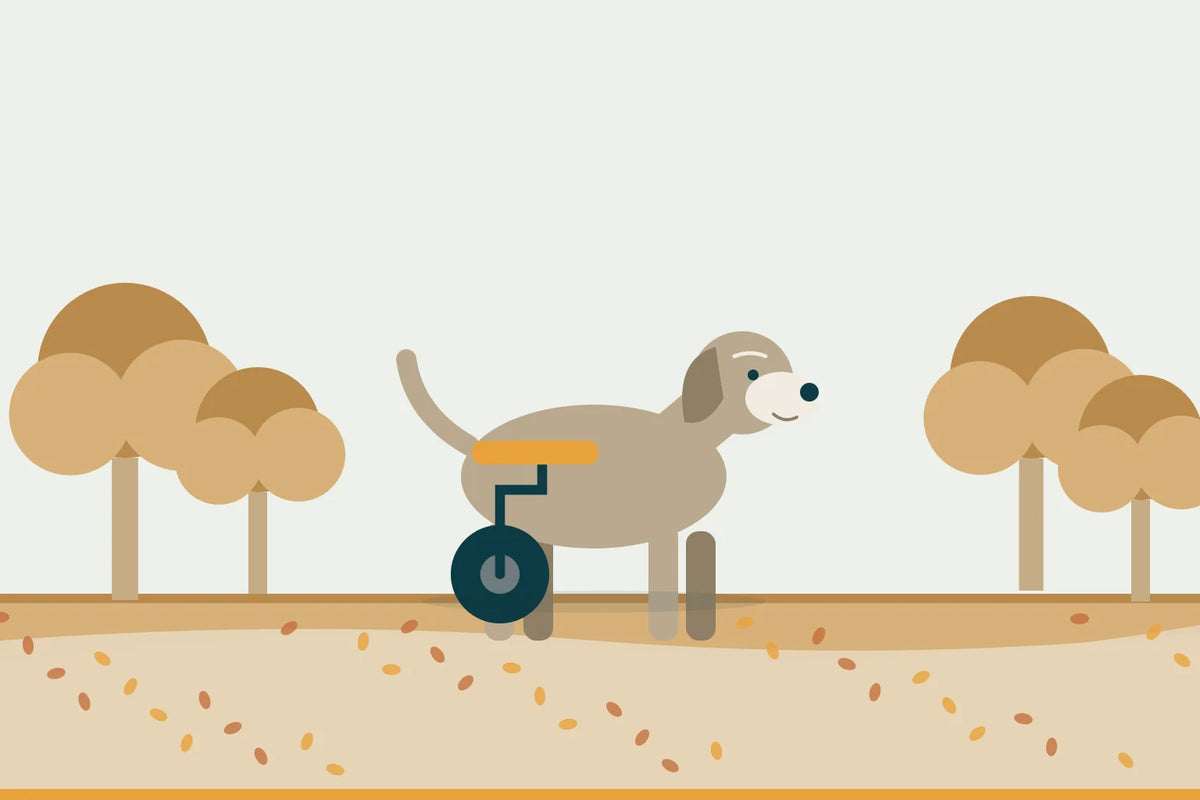 Hunde-Rollwagen