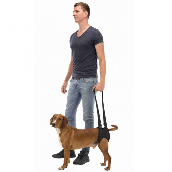 TRIXIE Gehhilfe – für Vorder- oder Hinterhand – M (55-65 cm) – Ansicht 2