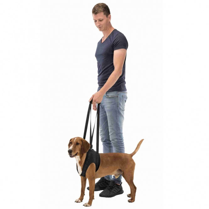 TRIXIE Gehhilfe – für Vorder- oder Hinterhand – M (55-65 cm) – Ansicht 3