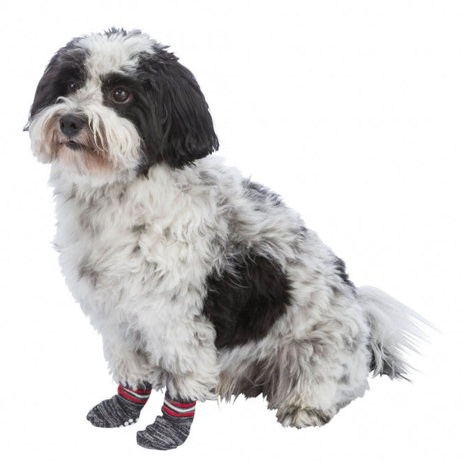 TRIXIE Hundesocken – Antirutsch-Sohle, 2 Stück – XXS-XS – Ansicht 3