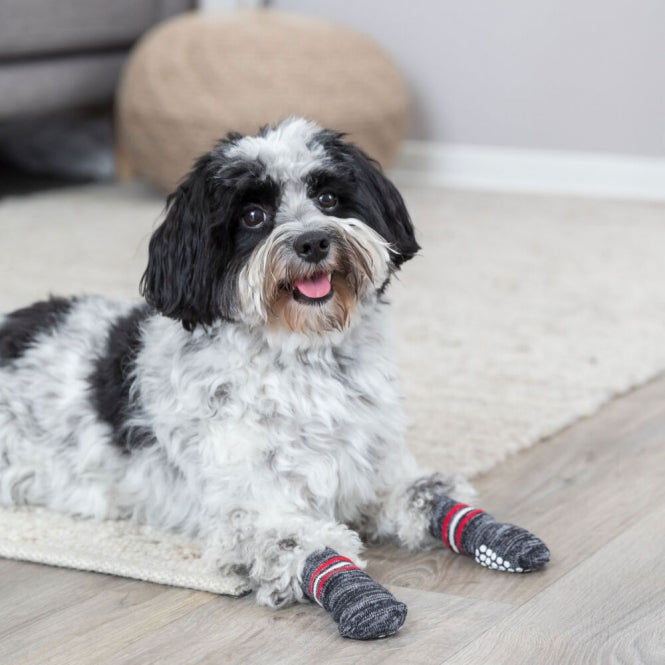 TRIXIE Hundesocken – Antirutsch-Sohle, 2 Stück – XXS-XS – Ansicht 4