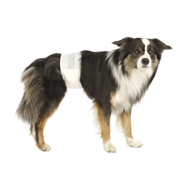 TRIXIE Hundewindeln für Rüden – 12 Stück – S-M (30-46 cm) – Ansicht 2