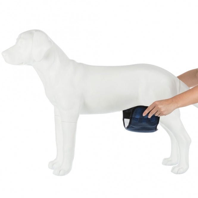 TRIXIE Rüdenwindel, waschbar – mit drei Einlagen – L (55-65 cm) – Ansicht 6