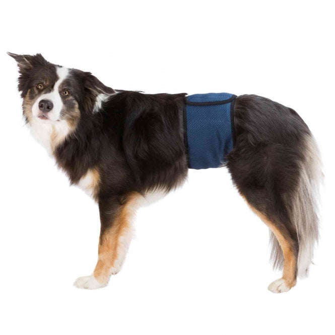 TRIXIE Rüdenwindel, waschbar – mit drei Einlagen – L (55-65 cm)