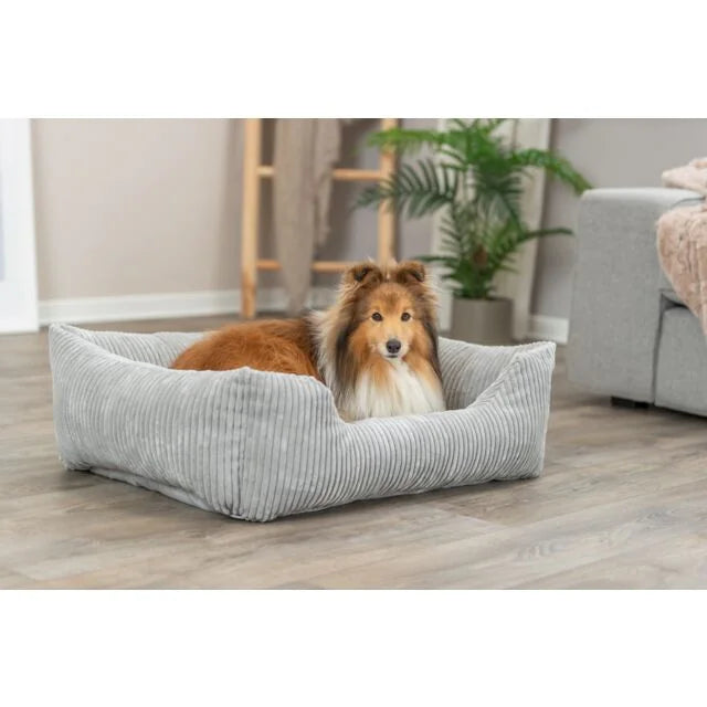 TRIXIE Vital Bett Jonna – orthopädisches Hundebett mit Rand – hellgrau / 60 × 50 cm – Ansicht 2