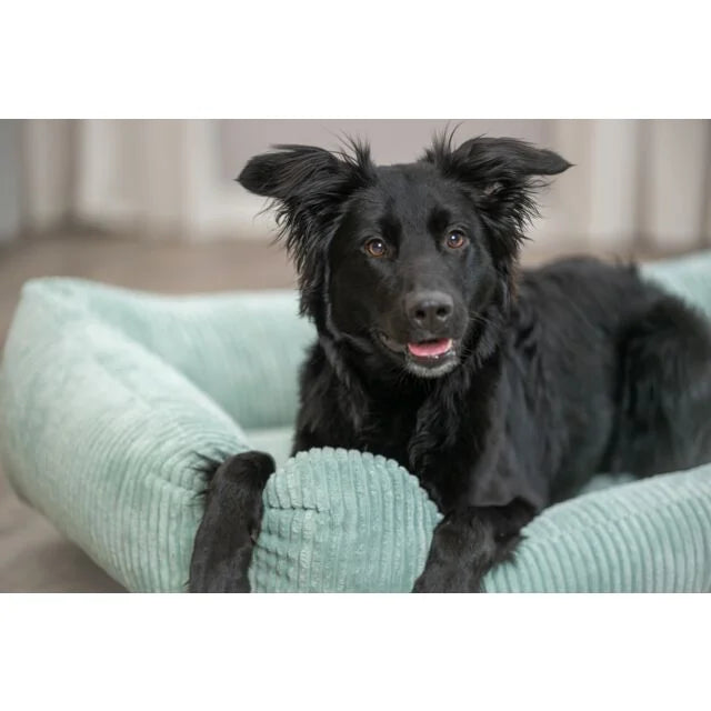 TRIXIE Vital Bett Jonna – orthopädisches Hundebett mit Rand – salbei / 60 × 50 cm – Ansicht 2