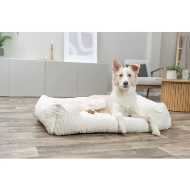 TRIXIE Vital Bett Jonna – orthopädisches Hundebett mit Rand – creme / 60 × 50 cm – Ansicht 3