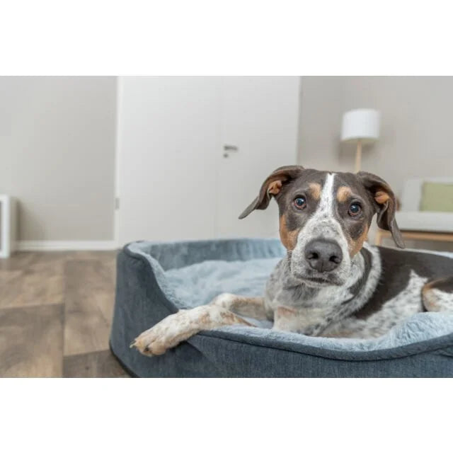 TRIXIE Vital Bett Lino Soft, oval – orthopädisches Hundebett – grau/hellgrau / 60 × 45 cm – Ansicht 4