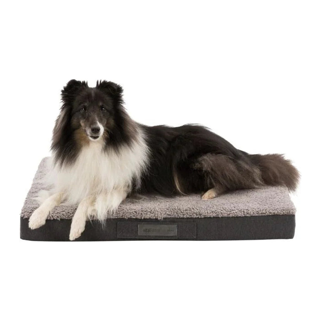 TRIXIE Vital Matratze Bendson – Hundematratze, 8–10 cm Schaum – Ansicht 5