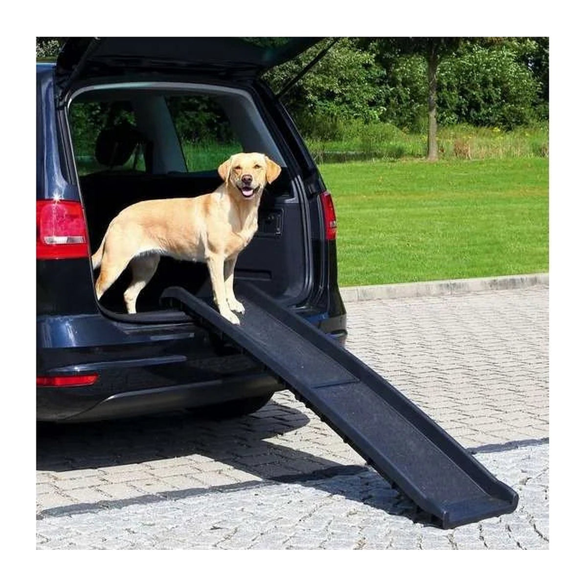 TRIXIE PetWalk Klapp-Rampe, 156 cm – Hunderampe bis 90 kg