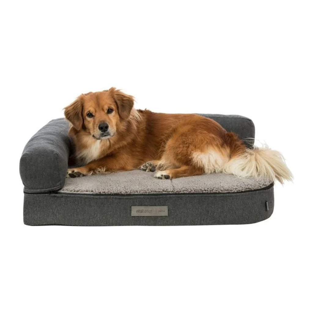 TRIXIE Vital Sofa Bendson – Hundesofa mit abnehmbarem Rand – Ansicht 6